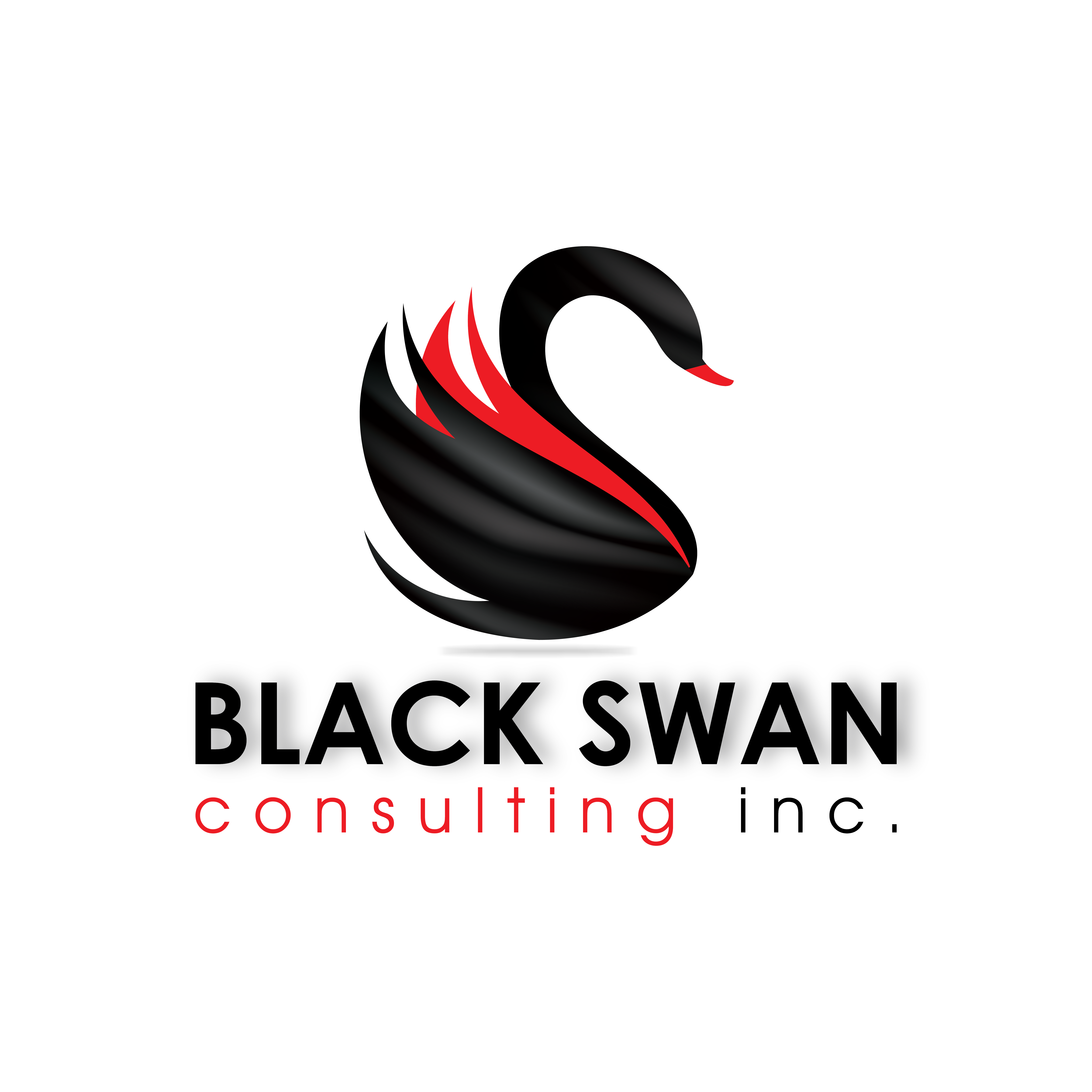 Black Swan Consulting